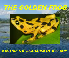 KRSTARENJE ČAMCEM THE GOLDEN FROG SKADARSKO JEZERO