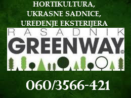 RASADNIK UKRASNIH SADNICA GREENWAY INĐIJA