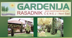 RASADNIK UKRASNIH SADNICA GARDENIJA ČENEJ NOVI SAD