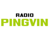 RADIO PINGVIN