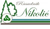 RASADNIK UKRASNIH SADNICA NIKOLIĆ TOMAŠEVAC ZRENJANIN